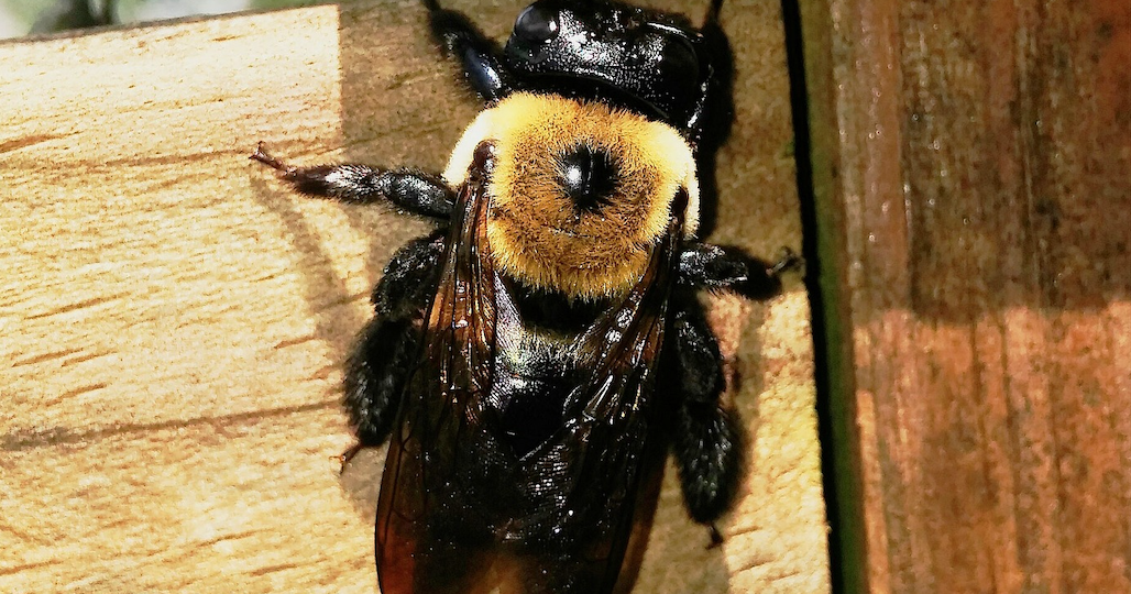 Screen-Shot-2023-05-23-at-2.34.09-PM-1