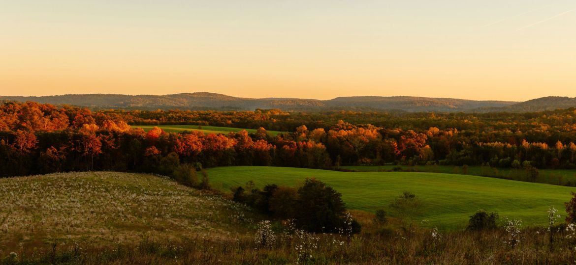 sarah-swainson-9FgnrI1PTEU-unsplash